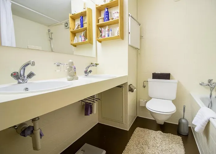 公寓 Rothornblick 19 *